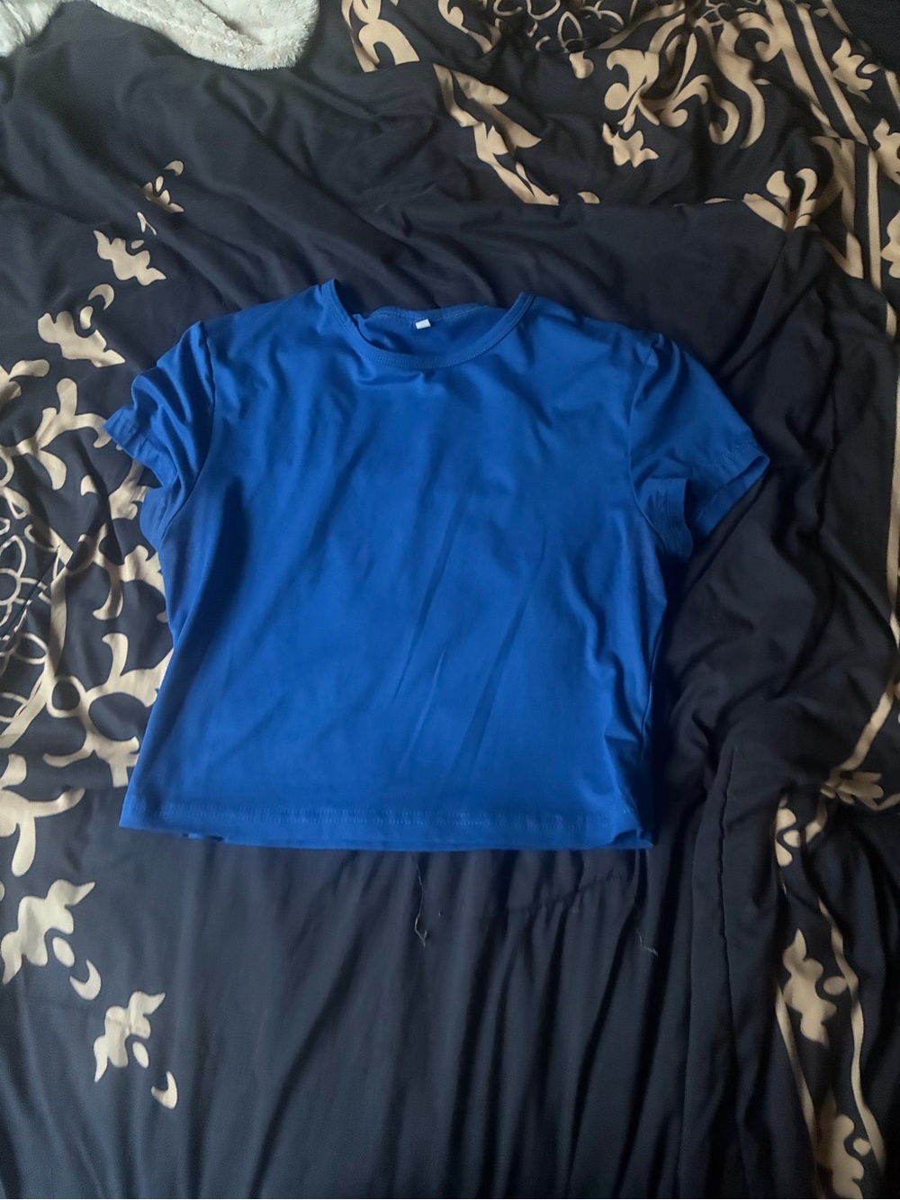 Classic Cropped Crew Tee in Royal Blue